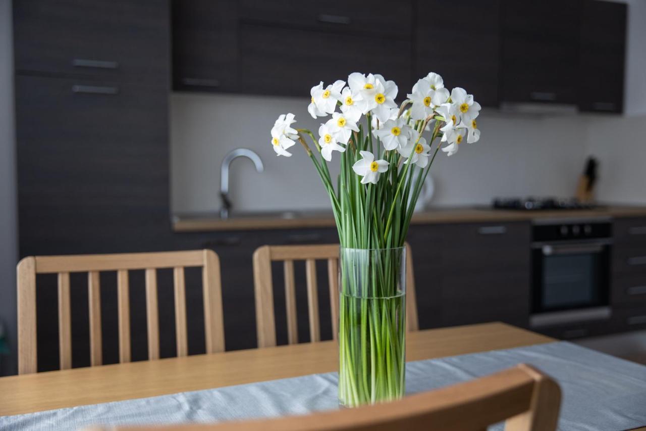 Apartman Ena Bjelovar Bagian luar foto